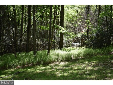 0 Summer Mountain Rd unit 1001713262, New Ringgold, PA 17960 - photo 2