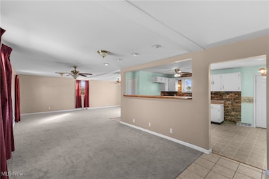 61060 Webb Heights Rd, Shadyside, OH 43947 - photo 6