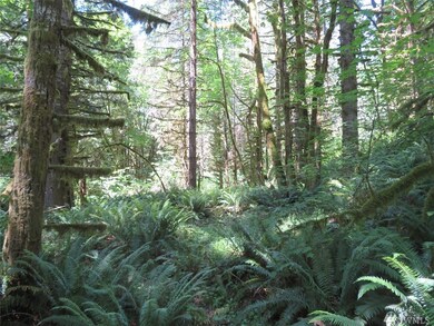 0 Deer Park Ln, Toledo, WA 98591 - photo 5