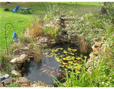 Yard/Garden.