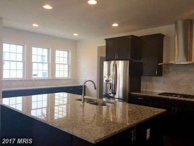 4803 River Crossing Ct, Ellicott City, MD 21042 - photo 5