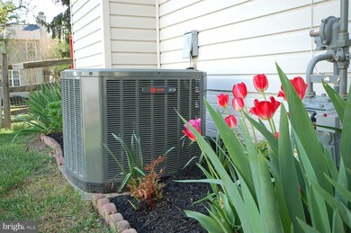 6388 Grateful Heart Gate, Columbia, MD 21044 - photo 4