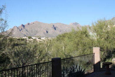 Back Yard View