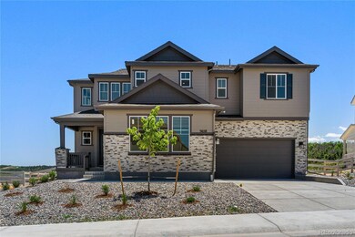 5658 Hickory Oaks Trail, Castle Rock, CO 80104 - photo 7