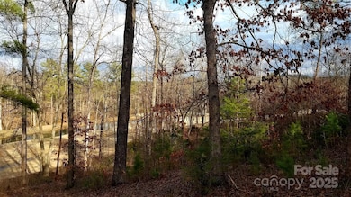 4269 Aaron Ct, Morganton, NC 28655 - photo 7