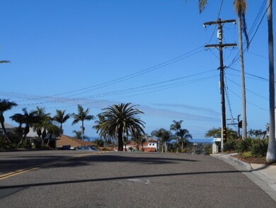 1430 Yourell Ave, Carlsbad, CA 92008 - photo 3