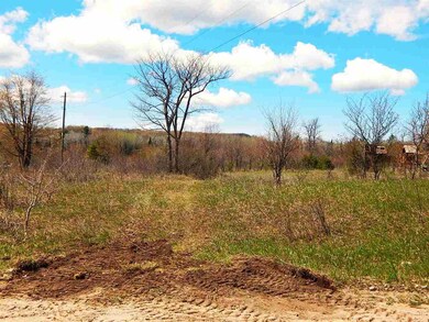 0 Howard Rd, Chandler Township, MI 49713 - photo 2