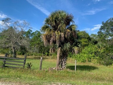 19501 Witts End, Alva, FL 33920 - photo 6