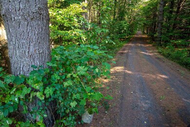 300 Center Rd, Montpelier, VT 05602 - photo 4