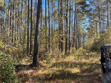 TBD Hooks Rd, Pittsview, AL 36871 - photo 7