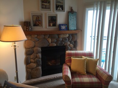 PPI T9 - Gas Fireplace
