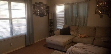 610 Kristofer St, Fredericksburg, TX 78624 - photo 4