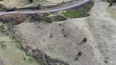 NKA Blindgrade Rd Lot 4, Pomeroy, WA 99327 - photo 5