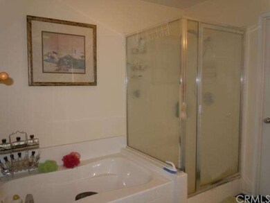Master bath tub and shower