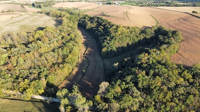 27 Ac. Dougherty Creek Rd, Argyle, WI 53504 - photo 3