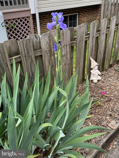 14386 Calvert St, Solomons, MD 20688 - photo 3