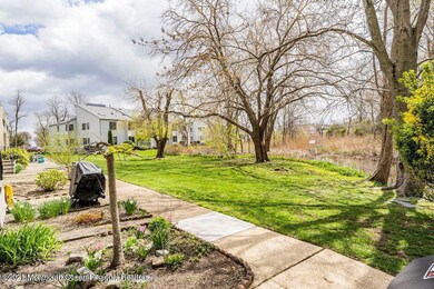 115 Curtis_BackYard2