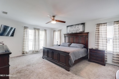 21510 Yankee Town Rd, Saucier, MS 39574 - photo 7