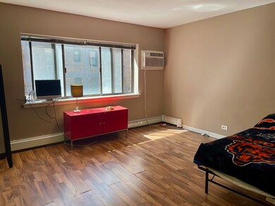 611 W Patterson Ave unit 213, Chicago, IL 60613 - photo 5