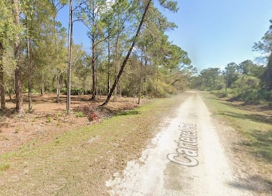 431 Carteret Rd, Georgetown, FL 32139 - photo 5