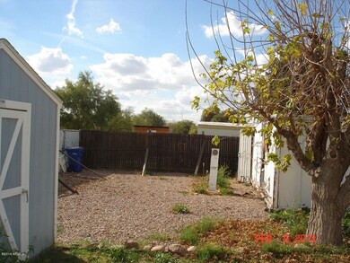 Backyard W