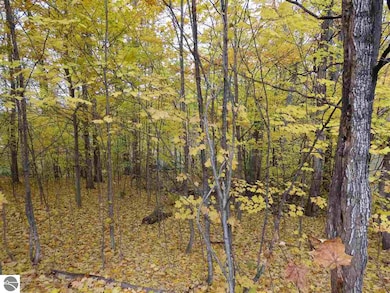 Lot 81 Eden St unit 81, Kingsley, MI 49649 - photo 3