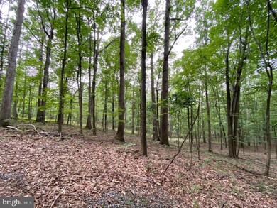 Lot 3 Independence Ln, District 1, VA 22844 - photo 5
