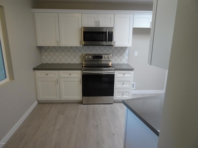 10301 W Highwood Ln, Sun City, AZ 85373 - photo 3