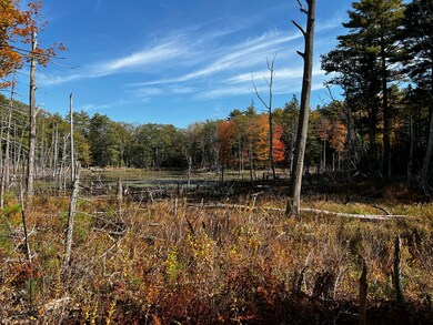 Ice Pond