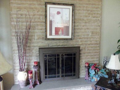 Other. Log Burning Fireplace