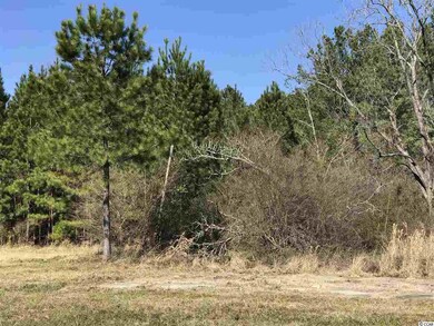 3994 Highway 378, Conway, SC 29527 - photo 4