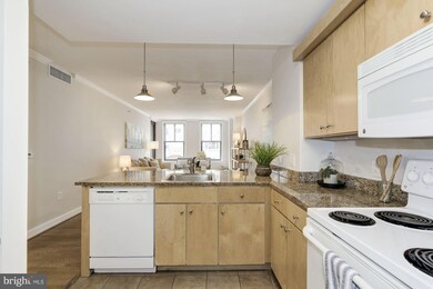 The Clara Barton at Penn Quarter unit 612, Washington, DC 20004 - photo 7