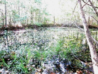 Pond is on the very back of property near fence.