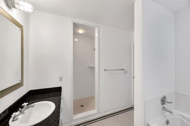 The large Bathroom features a walk-in shower a& so