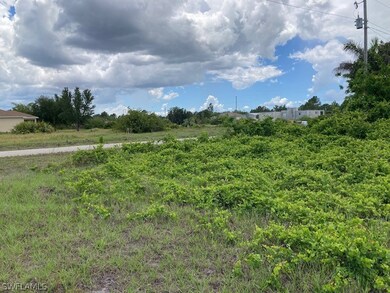 527 Trinity St E, Lehigh Acres, FL 33974 - photo 4