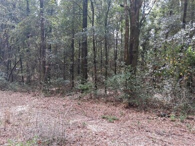 00000 Spice Pond Rd, Mobile, AL 36613 - photo 6