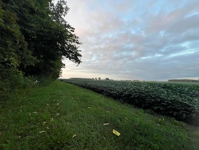 IMG_0002