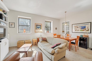 The Hill Condominiums unit A1-5, White Plains, NY 10606 - photo 4