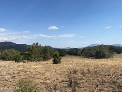 5011 W Dillon Wash Rd, Prescott, AZ 86305 - photo 3