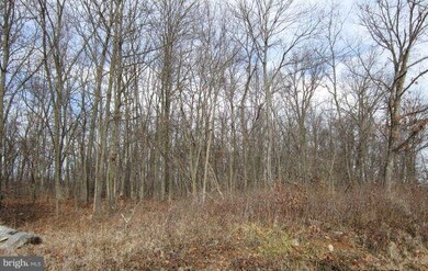 2 Summit Point Rd, Summit Point, WV 25446 - photo 5