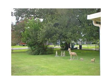 Yard.