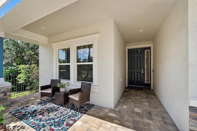 6659 Current Dr, Apollo Beach, FL 33572 - photo 7