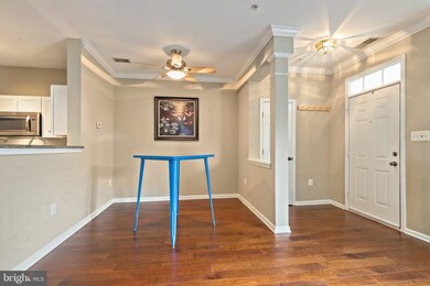 8726 Green Field Ct, Odenton, MD 21113 - photo 6