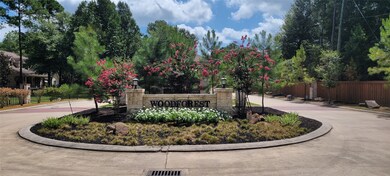 11124 Sunset Ave, Magnolia, TX 77354 - photo 3