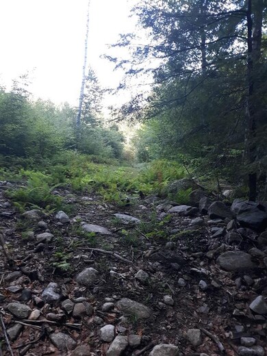 0 Curtis Rd unit 4892402, Winchester, NH 03470 - photo 7