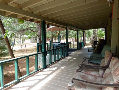 3368 N Bradshaw Cir, Pine, AZ 85544 - photo 3