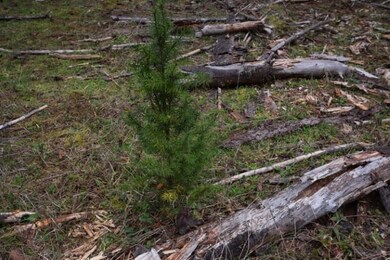 38184 S Hardy Rd, Molalla, OR 97038 - photo 4