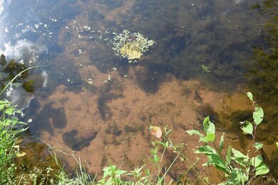 00 E Yellow River Rd, Oakland, WI 54830 - photo 3