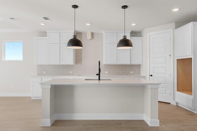 138 Ash Juniper Rd, Georgetown, TX 78633 - photo 5