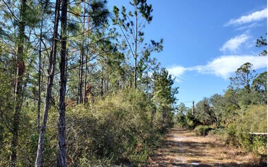 0 SW Brown Rd, Lee, FL 32059 - photo 6